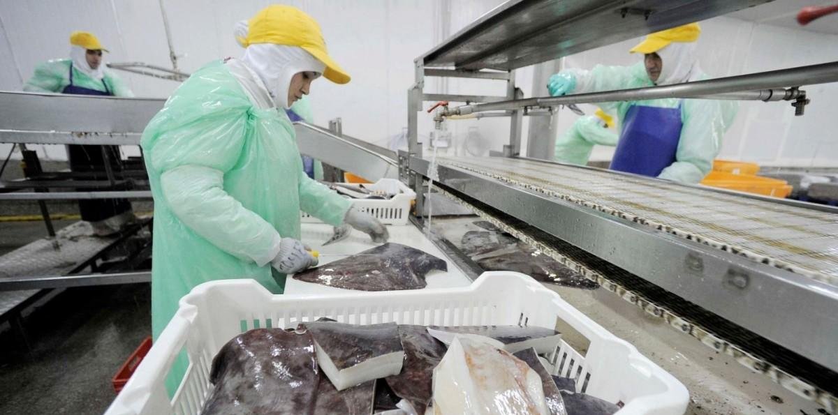 Buques chinos y pesca de jibia: Pescadores afirman que el Biobío ha perdido cientos de empleo y unos US$1.500 millones