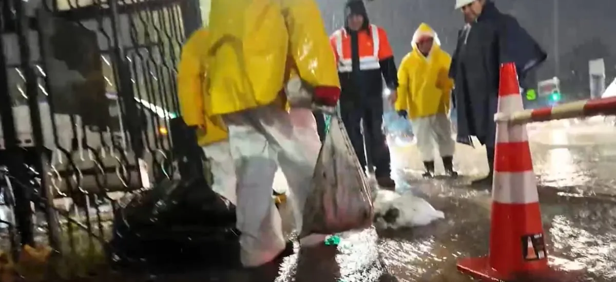 Insólito hallazgo en Puente Alto: encuentran sacos con cabezas de caballo al interior de alcantarillado