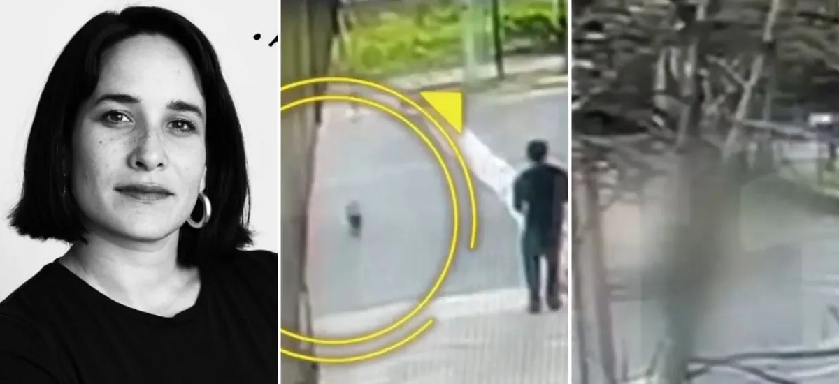 Se le ve salvando a su perrito y el brutal actuar del conductor: cámaras captaron el fatal atropello de la cineasta Paz Ramírez