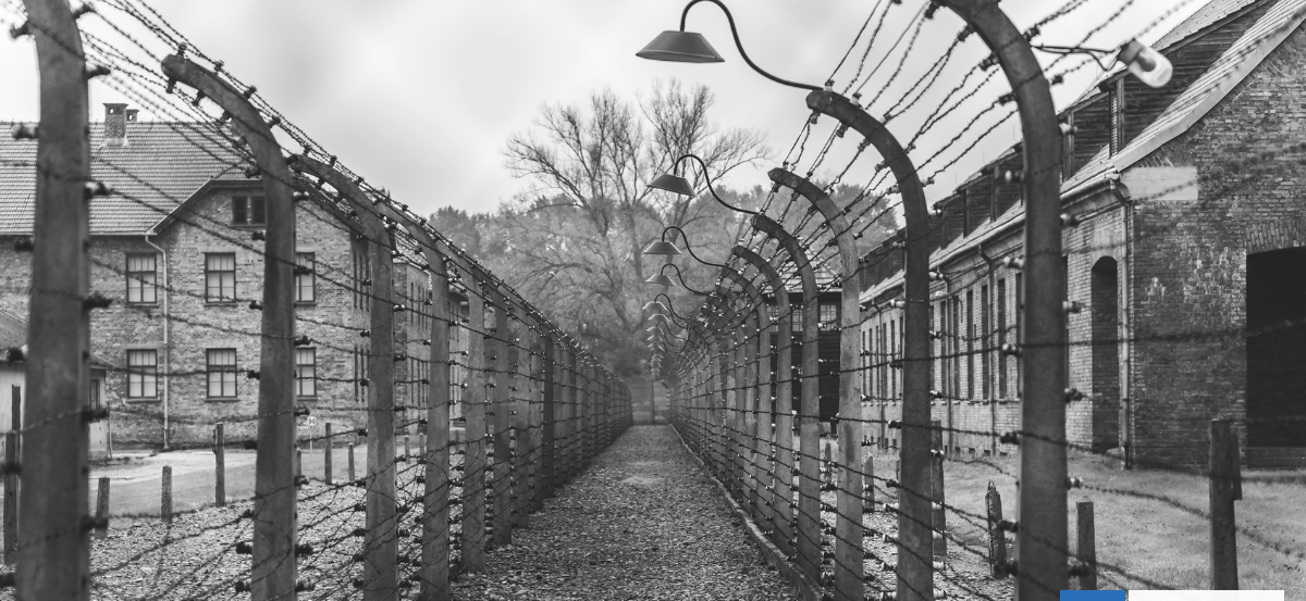 Cómo se cimenta el odio: el camino a Auschwitz