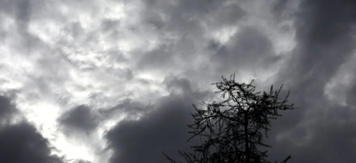 Meteorología emite aviso por probable desarrollo de nubes tornádicas en Los Ríos y Los Lagos