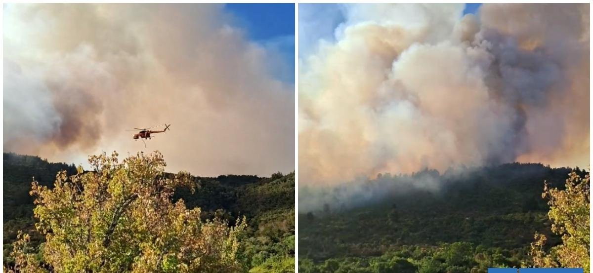 Declaran Alerta Roja para Ninhue por incendio forestal con cercanía a zonas habitadas