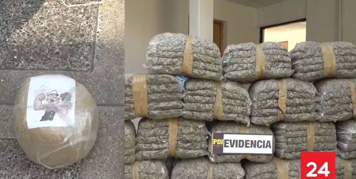 Planeaba ser comercializada en Santiago: PDI decomisa 1.774 kilos de cannabis