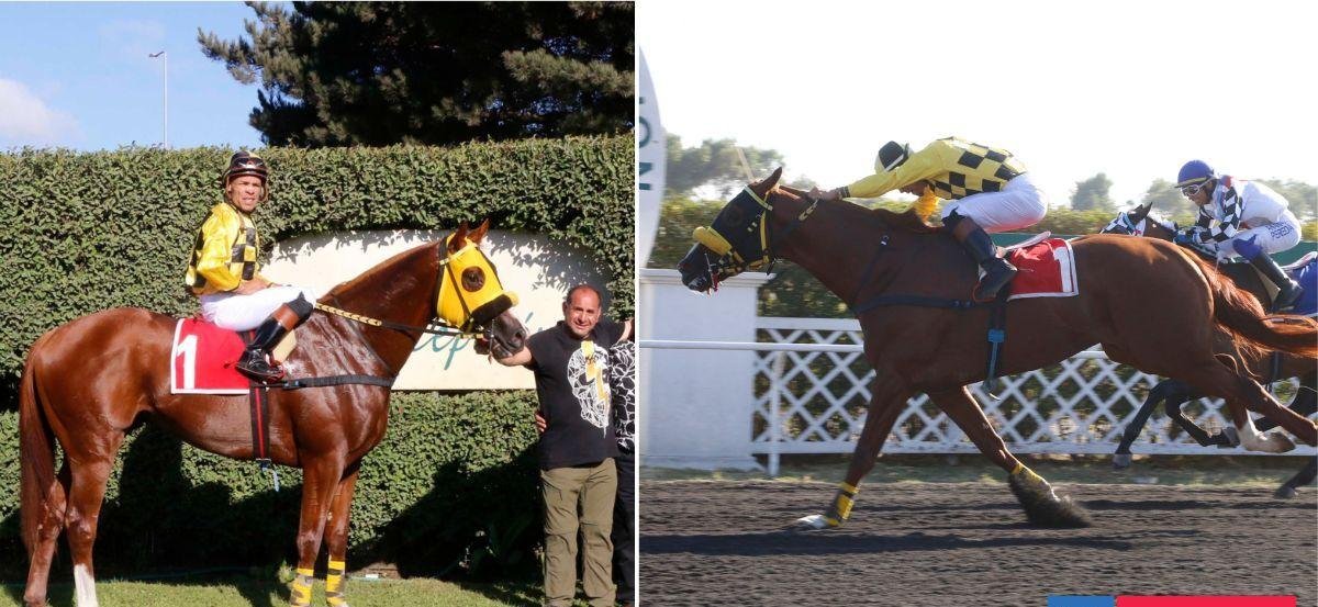 Luis ’Chiqui’ Chavarría va por la gloria con ’Horion’ en el Clásico Club Hípico de Concepción