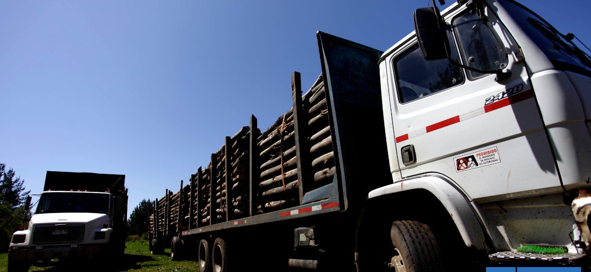 La Araucanía: Carabineros dejará de fiscalizar camiones con madera forestal por falta de espacio