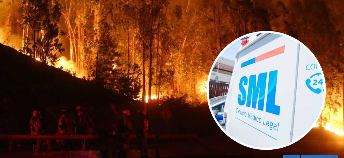 SML confirma 16 víctimas identificadas y continúa la entrega de cuerpos por megaincendio en Bío Bío