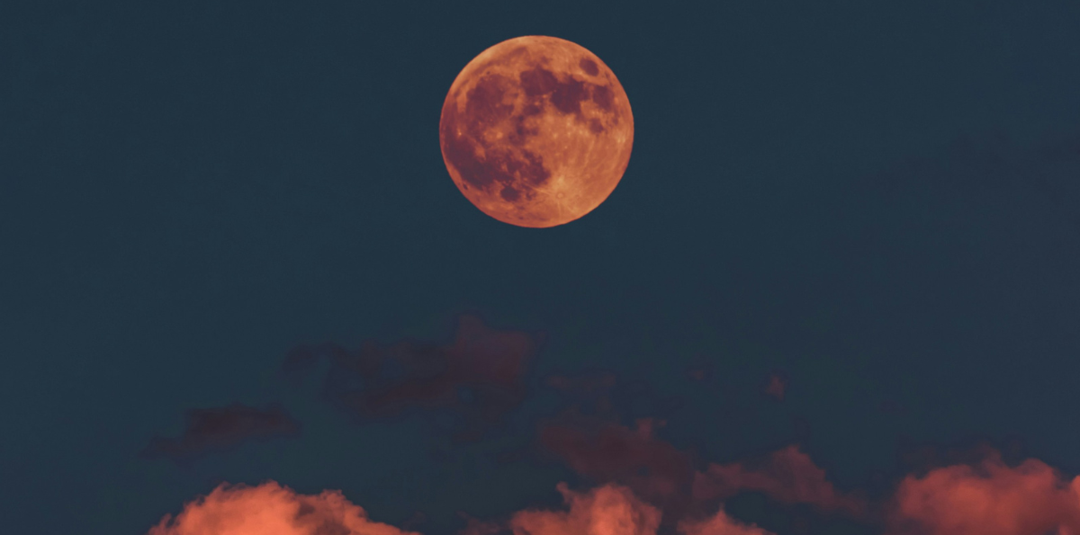 Este martes se podrá ver la "Luna de Sangre" en tres continentes: ¿A qué hora en Chile?