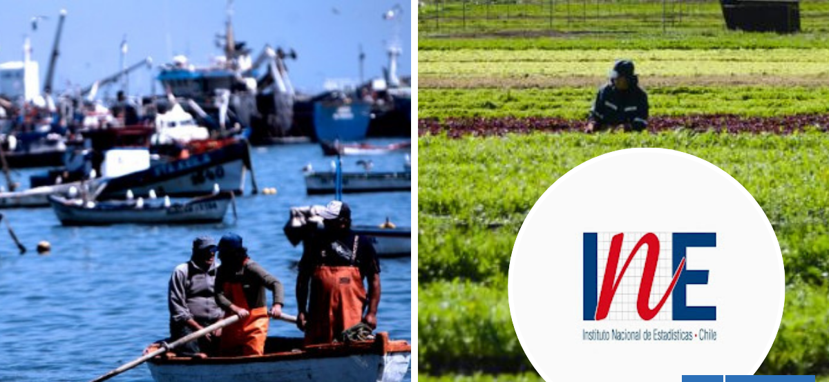 Desempleo en La Araucanía baja a 7,5% pero la informalidad sigue siendo la más alta del país