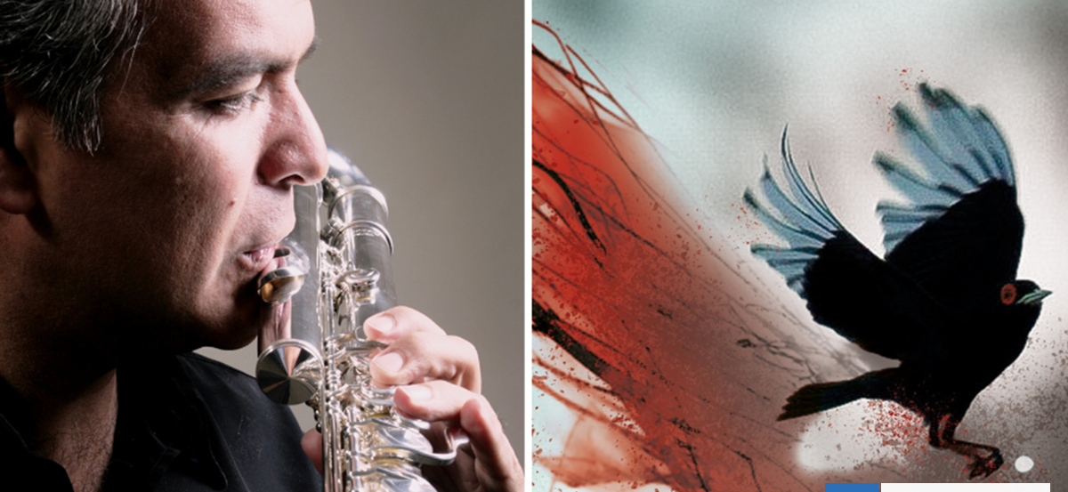 El secreto de los pájaros: creación musical contemporánea de Chiloé inicia gira por Latinoamérica