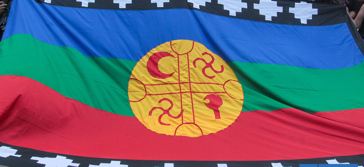 Temuco: demanda de restitución de más de 2 mil hectáreas por parte de comunidad preocupa a vecinos