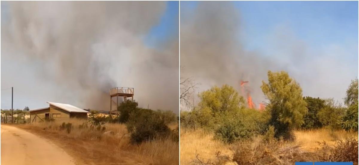 Alcalde de Litueche confirma muerte de comandante de Bomberos que combatía incendio forestal