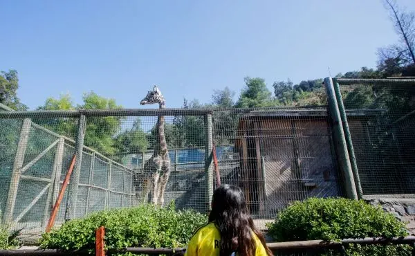 Día de la niñez: revisa las actividades gratuitas que tendrá Parquemet este domingo