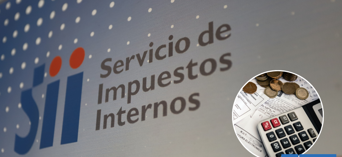 Los Ríos: SII apunta a posibles penas de cárcel por malls chinos que defraudaron al Fisco