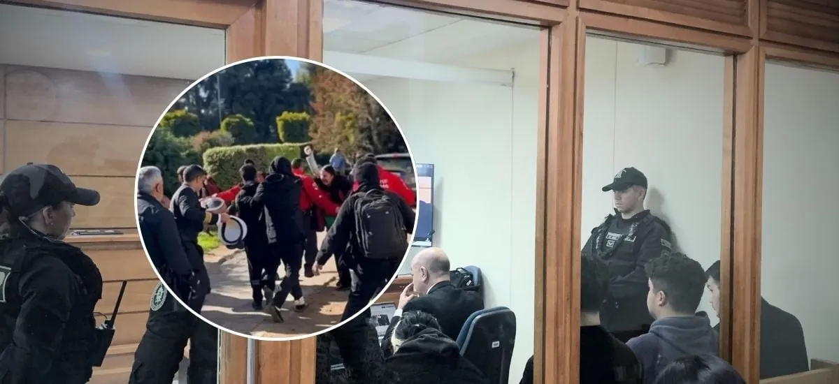 Libres pero no deben acercarse a Lincolao: las medidas cautelares que impusieron a detenidos por agresión a ministra