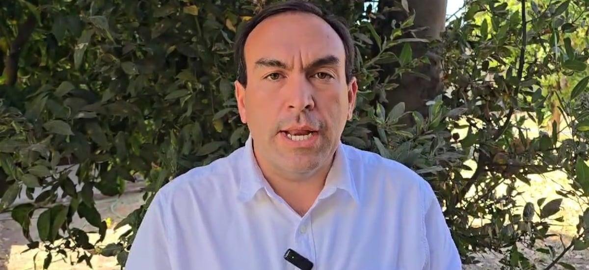 La última arremetida de la UDI en el Tricel por cupo del distrito 17: Fermandois ingresa reposición para revertir fallo