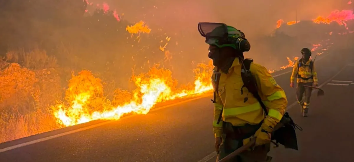 Incendio forestal en el sur de España deja al menos 12 muertos