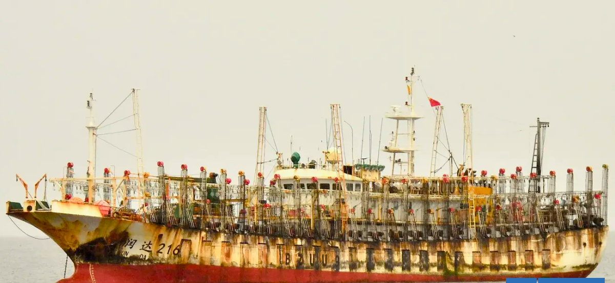 "Ciudades flotantes": cómo funcionan los barcos pesqueros de China que amenazarían costas chilenas