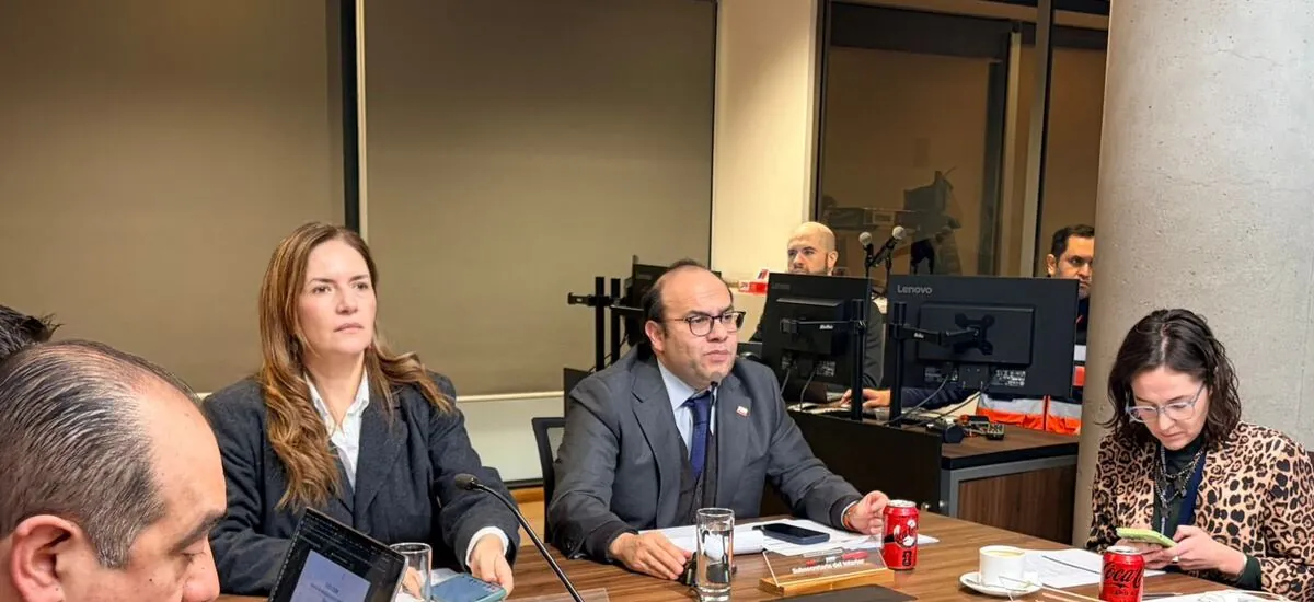 Subsecretario Pavez descarta “por ahora” decretar estado de excepción en zona sur por sistema frontal