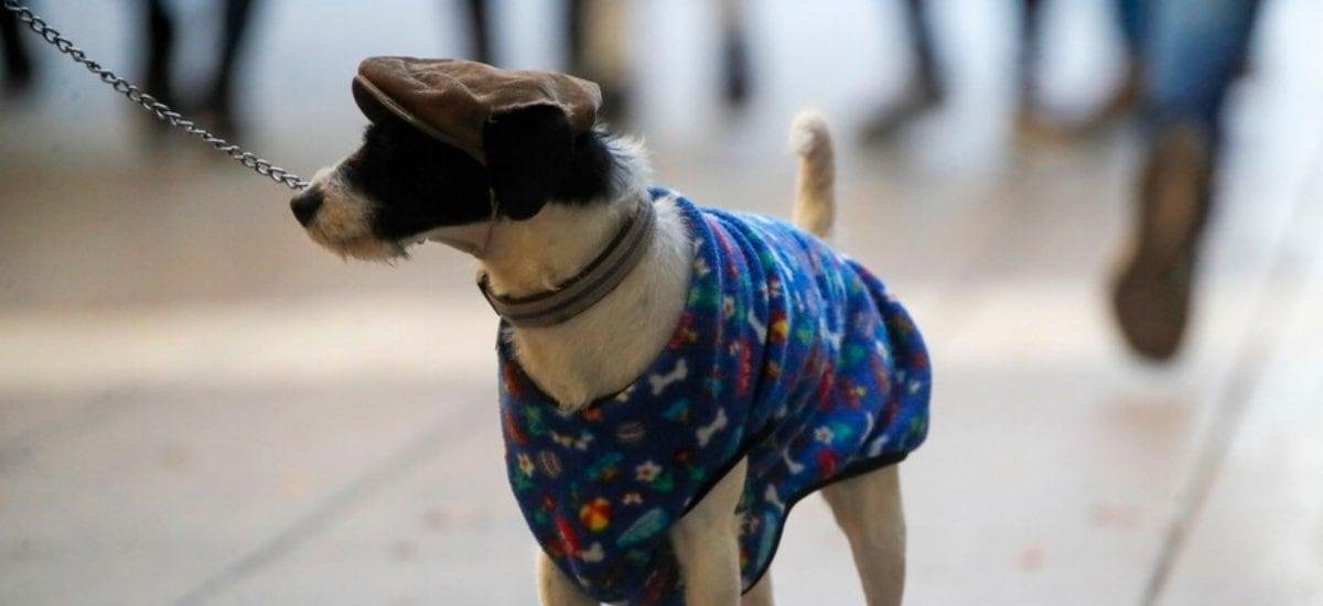 Cuánta lluvia caerá en marzo en Santiago y cuándo comienza el frío