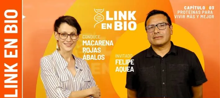 Fundador de Rubisco en Link en Bio: “Tenemos como objetivo entrar a la industria alimentaria”