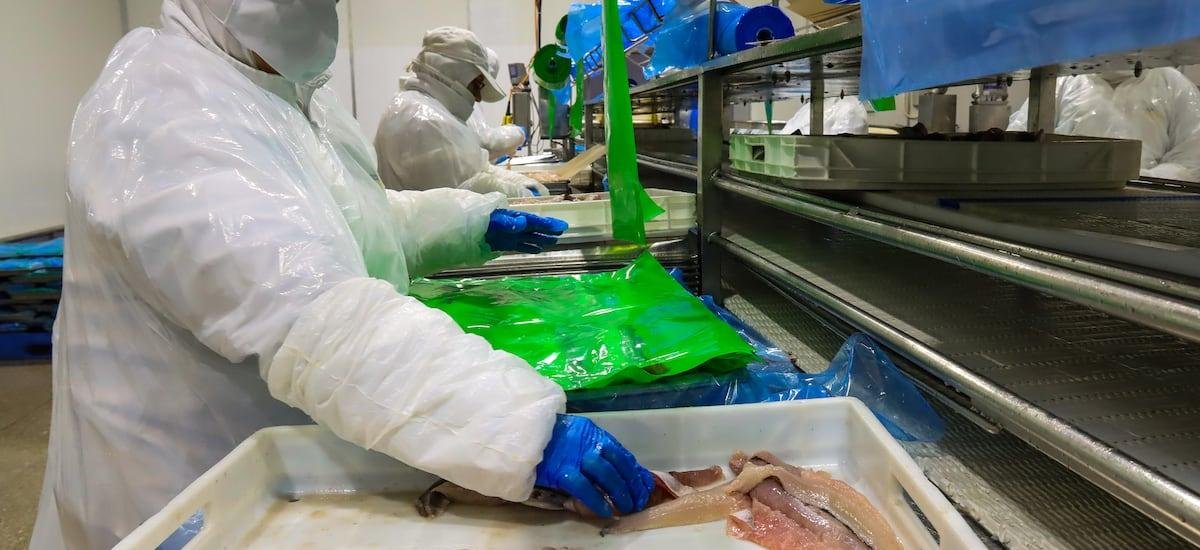 La estrategia que convirtió a Chile en referencia global en pesca selectiva de merluza - La Tercera