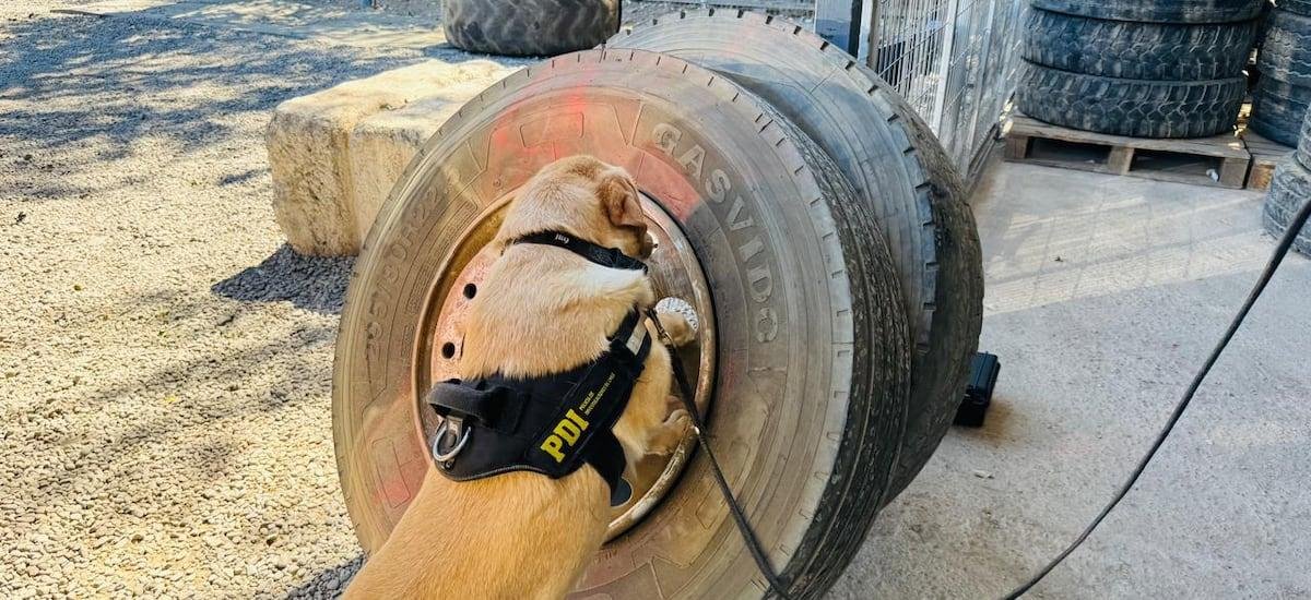 Incautan más de 350 kilos de droga que transportaban ocultos en un camión en Melipilla