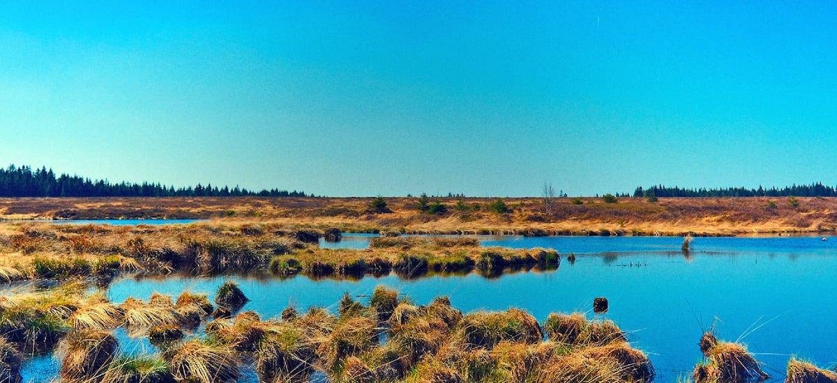 Humedales y conocimientos tradicionales: una deuda pendiente en Chile
