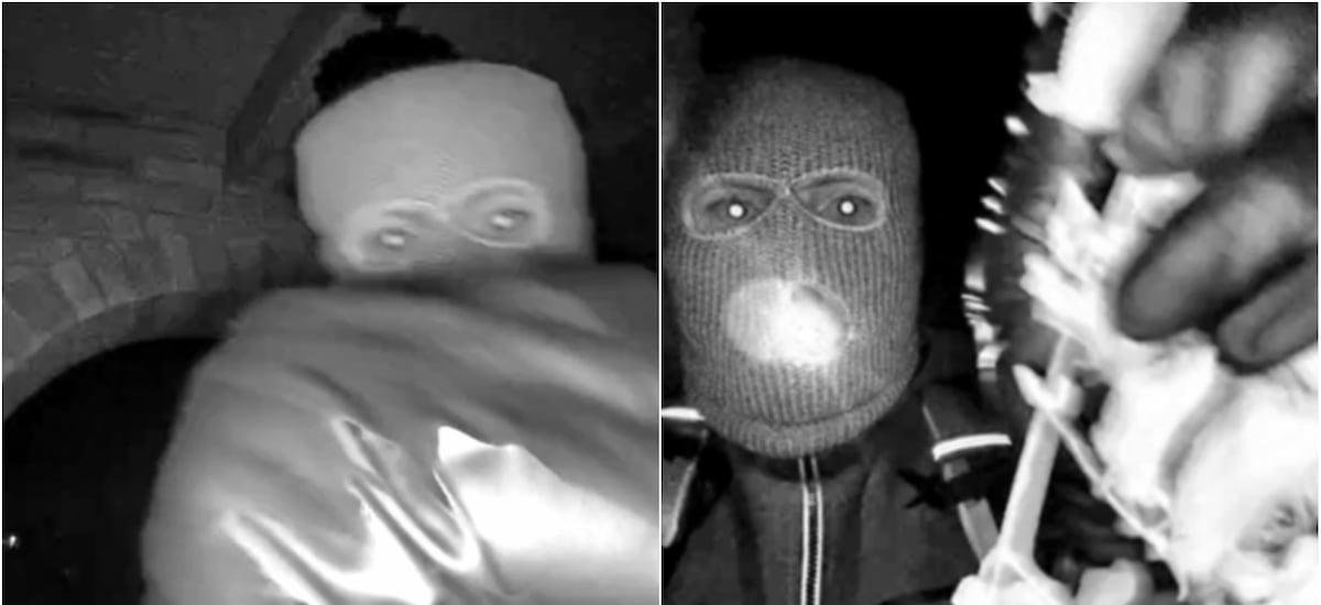 Desaparición de Nancy Guthrie: por qué Google tuvo un rol clave en la recuperación del video de las cámaras de su casa - La Tercera