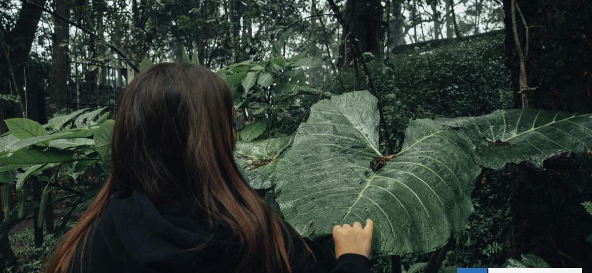 Ecoansiedad: "Invalidarla es un acto político, porque niegan un problema grave a nivel planetario"