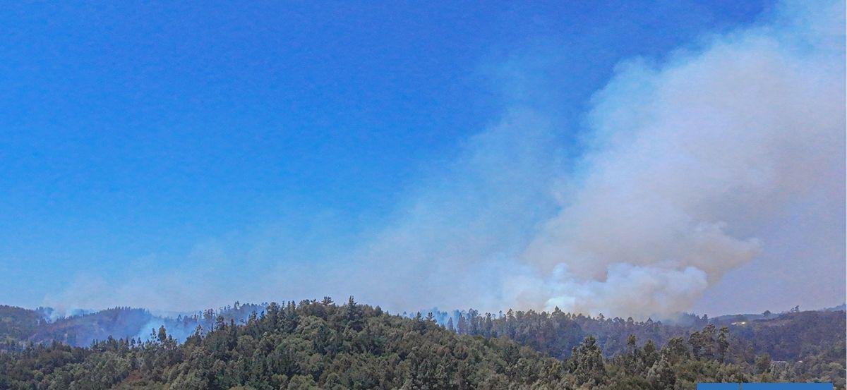 Corma pide extremar prevención para evitar incendios en Ñuble y Bío Bío ante altas temperaturas