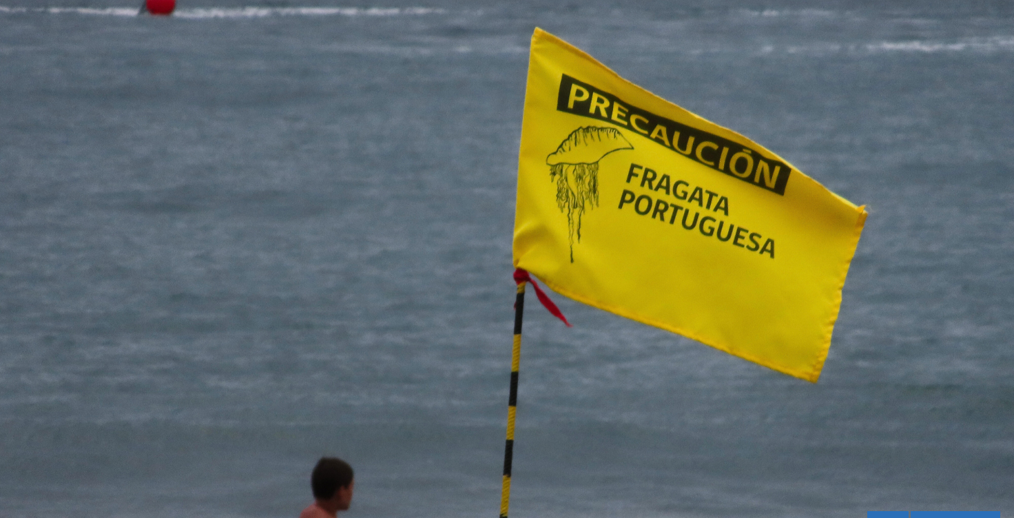 Fragata portuguesa obliga a cerrar Playa Amarrilla en Concón: continúa misma restricción en El Quisco