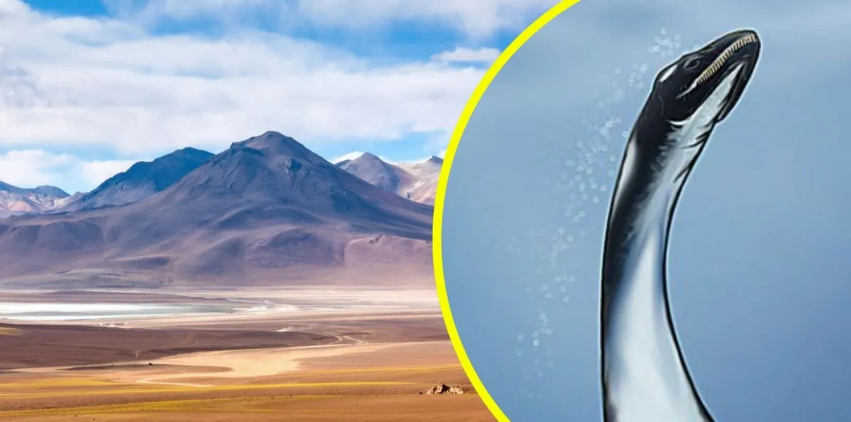 Encuentran fósiles de nuevo reptil marino que habitó en Chile: Hallazgo resuelve enigma mundial sobre la evolución de la especie