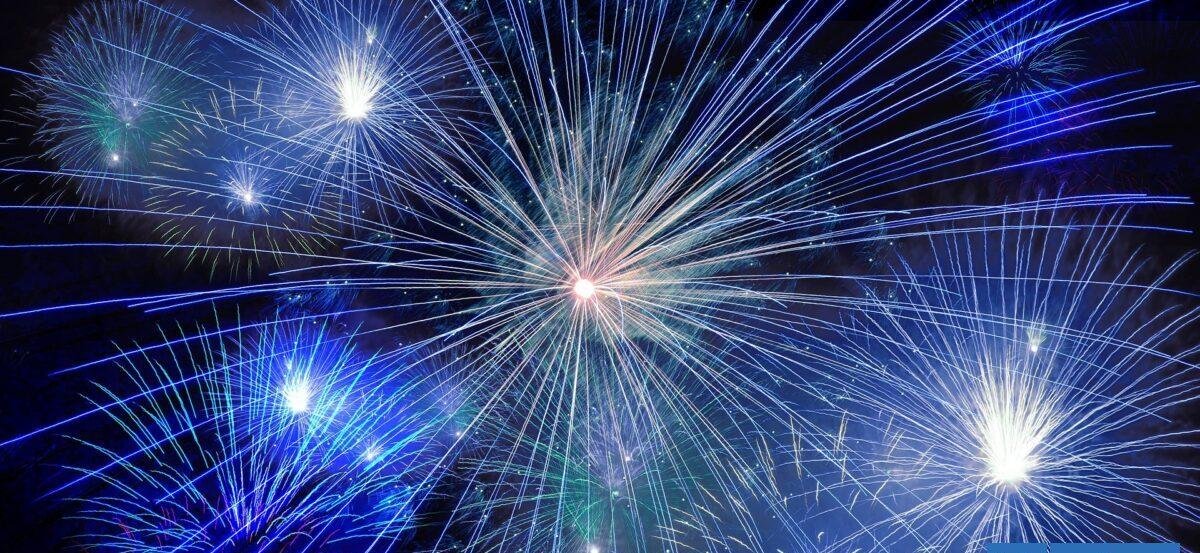 Agrupaciones animalistas piden suspender fuegos artificiales de la "Noche Valdiviana"