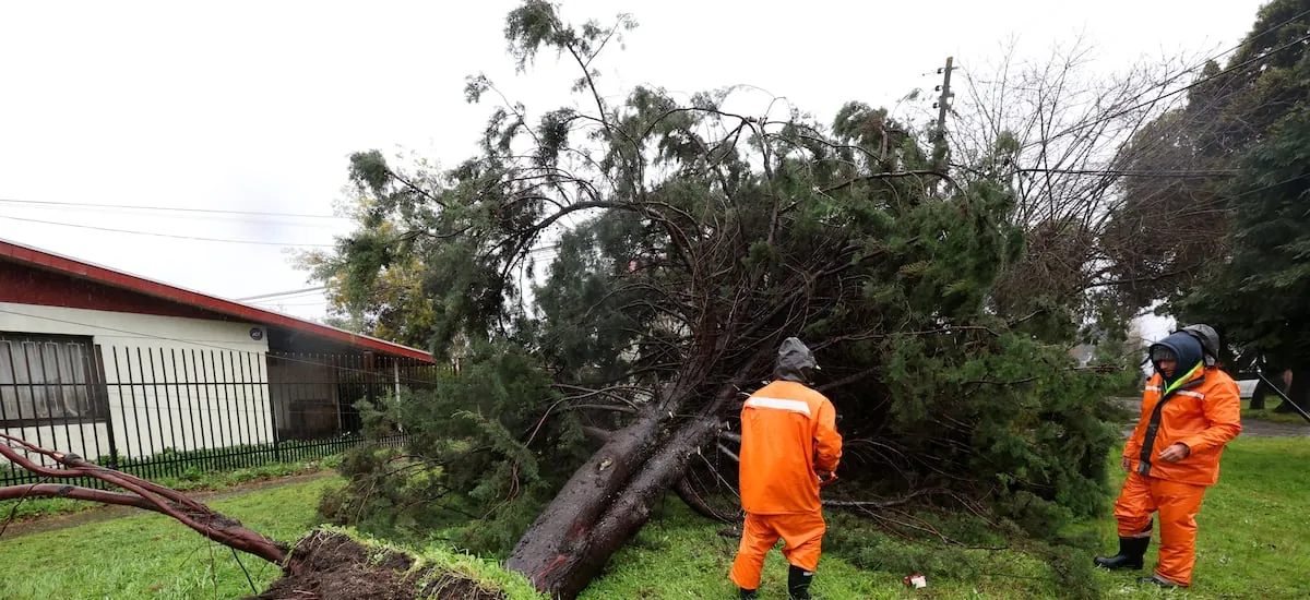 Senapred decreta alerta roja en Pucón por fuertes vientos en La Araucanía de hasta 100 km/h