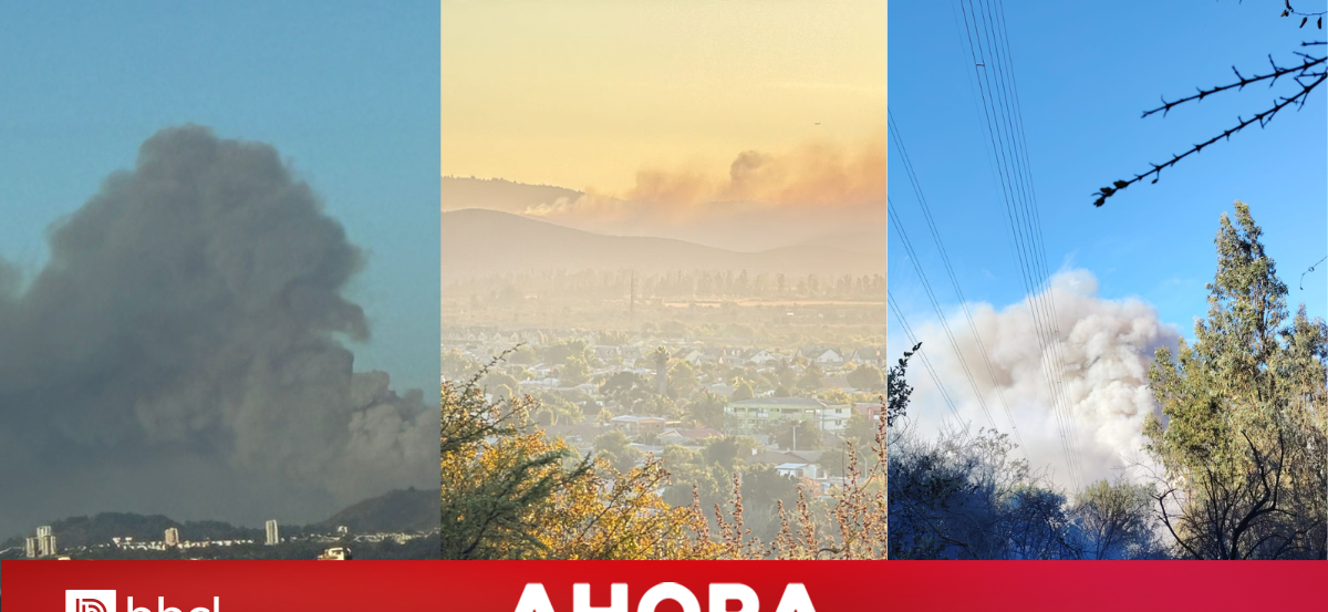 Por riesgo en zonas habitadas: ordenan evacuar sectores en Limache y Concón debido a incendio forestal