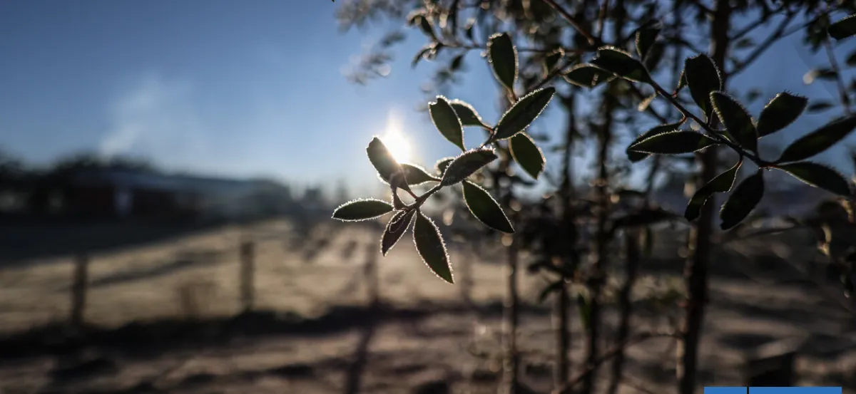 Temperaturas caerán hasta los -4°C: emiten aviso por heladas para seis regiones del país