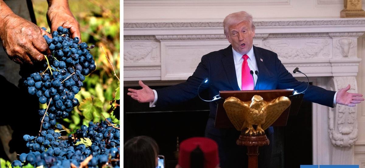 Industria frutera hace llamado "urgente" a Boric y Kast para abordar nuevo arancel global de Trump