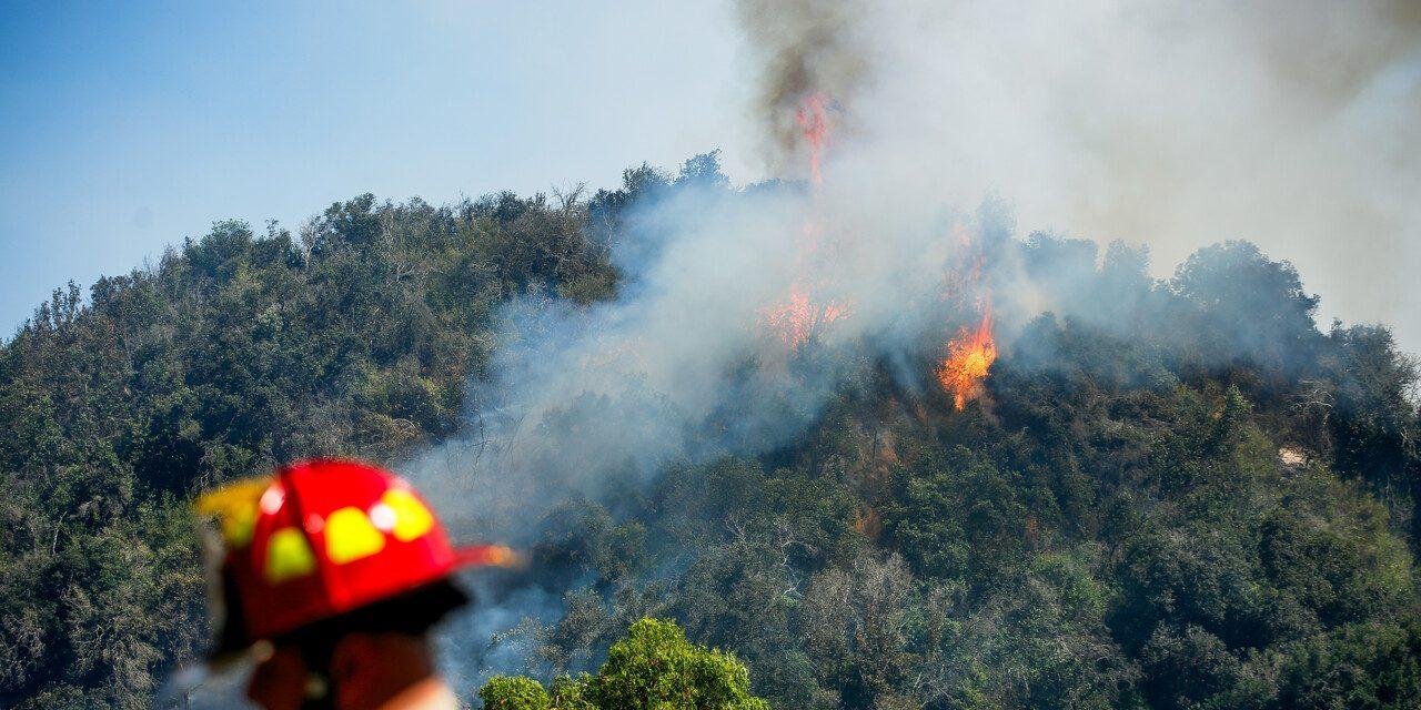 Conaf alerta de posibles incendios forestales en 6 regiones de Chile por altas temperaturas