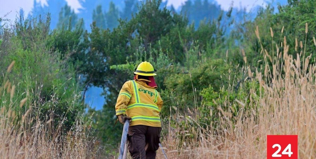 Cómo postular: Ministerio de Agricultura abre nuevas ofertas laborales con sueldos de hasta $1.8 millones