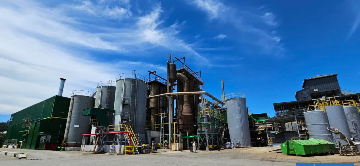 Lota: Alimar dice que construcción de planta de congelados correría peligro por Ley de Fraccionamiento