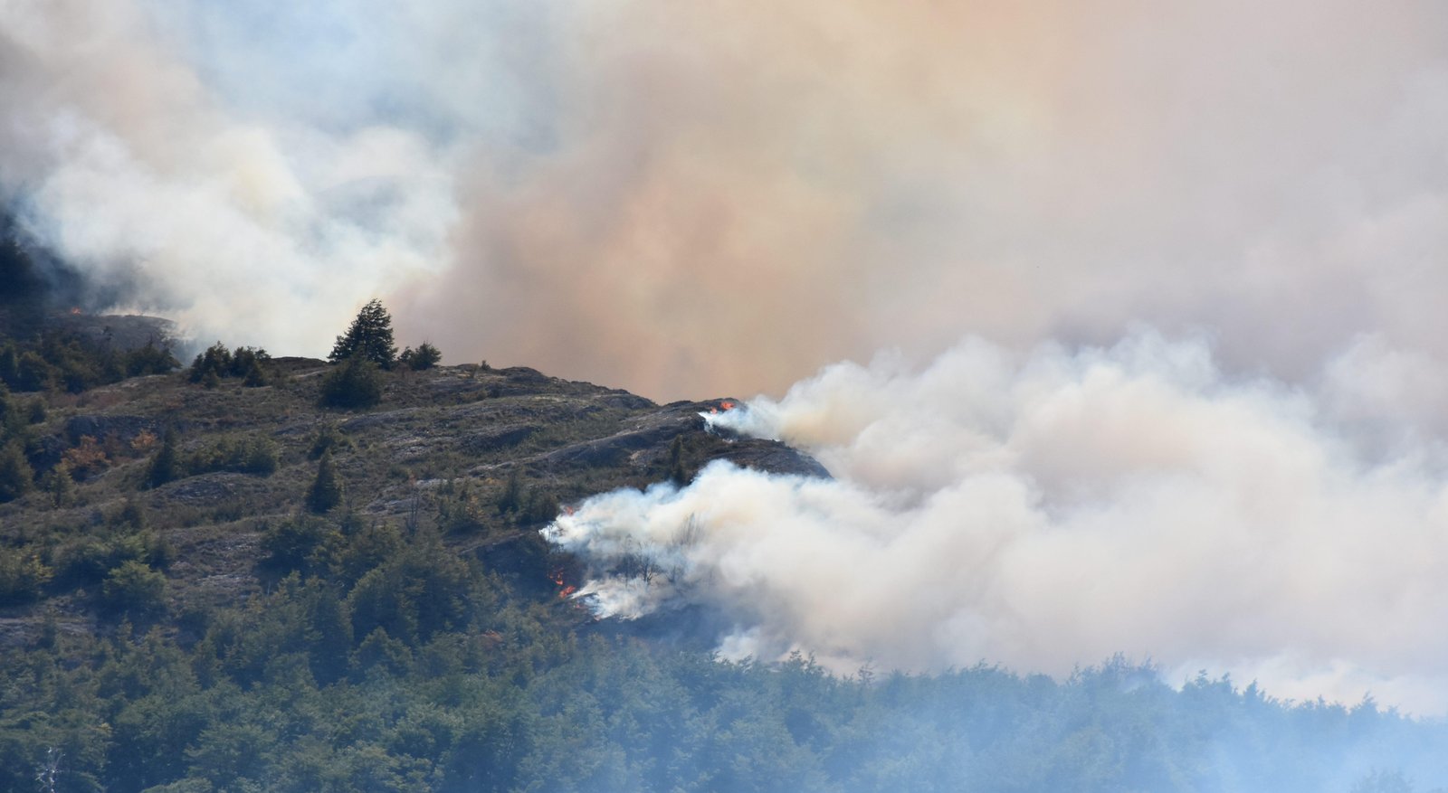 CGE deberá pagar $400 millones a vecinos de Navidad por responsabilidades en incendio forestal de 2019