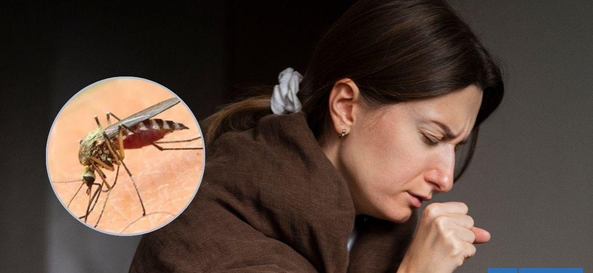 Cómo reconocer los síntomas del Dengue: mosquito está en Chile y te "rastrea" por método infrarrojo