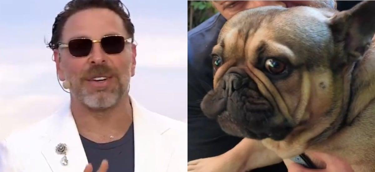 José Antonio Neme regresó a Viña y pidió energía positiva para su perro Frodito: “Está luchando por su vida”