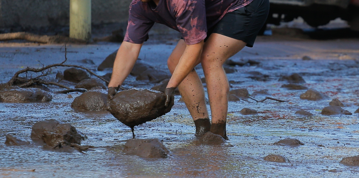 ¿Qué es la baja segregada y por qué es tan difícil de predecir?