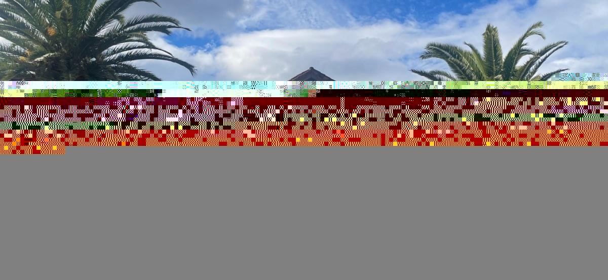 Municipalidad de Peñalolén desvincula a 22 funcionarios por uso irregular de licencias médicas