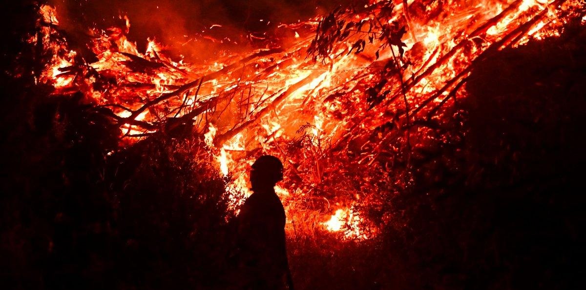 Incendio en Vichuquén: 300 hectáreas consumidas y tres casas afectadas