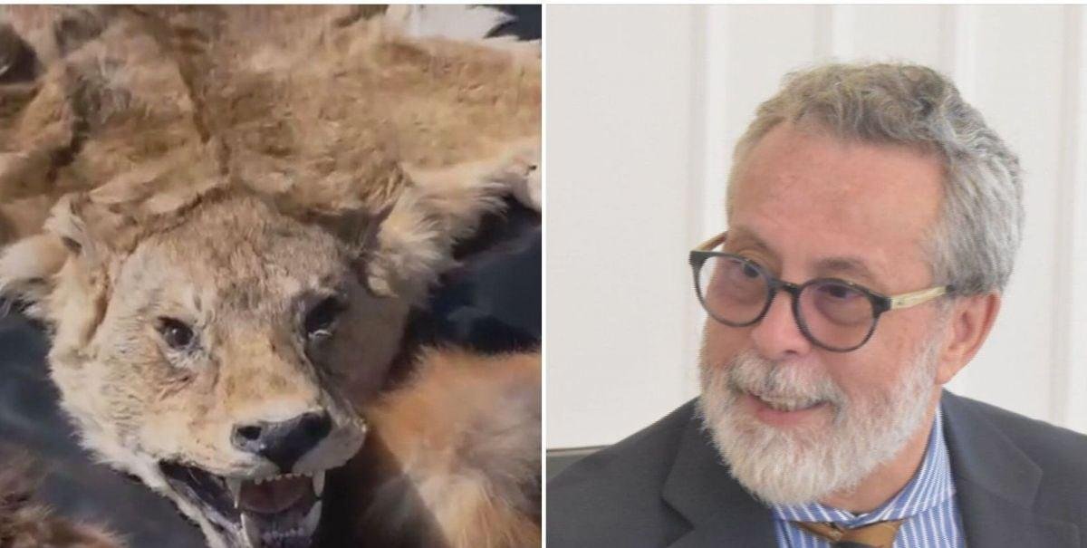 Camilo Sanhueza: ex embajador quedó con arraigo nacional por contrabando de pieles de animales exóticos