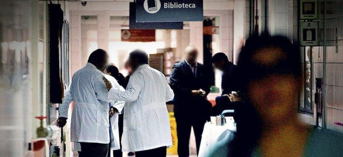 Minsal informa que letalidad del hantavirus aumentó levemente este periodo estival y reporta hallazgo de nuevo mosquito