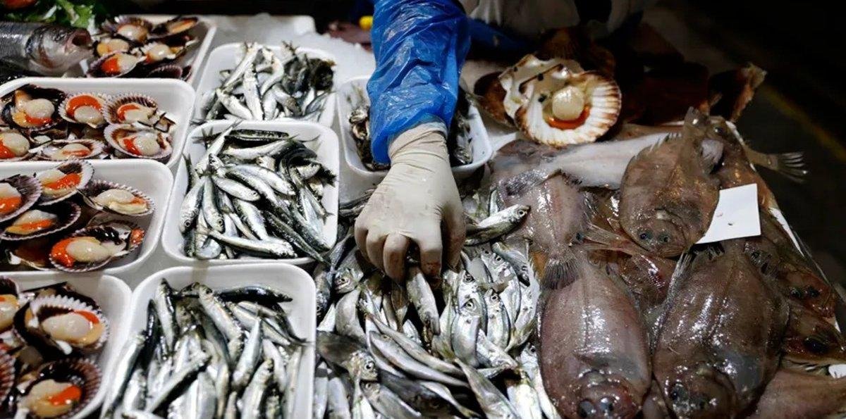 FAO advierte que uno de cada cinco pescados que se consumen en el mundo está mal etiquetado