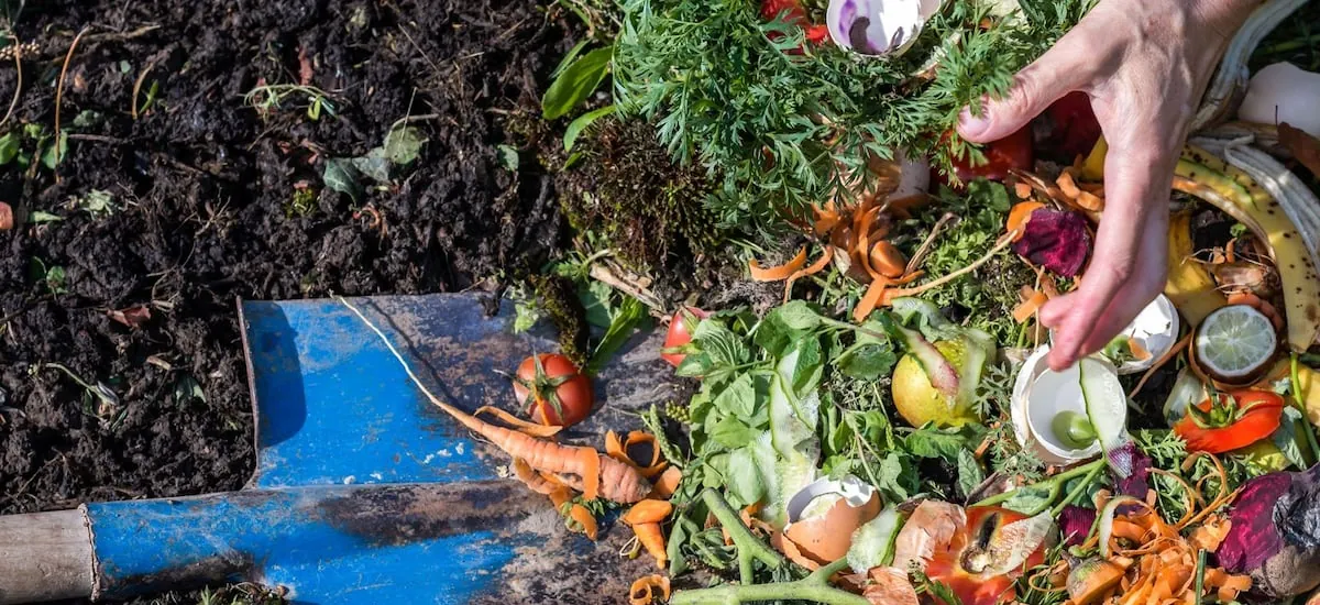 Primer año de programa ecológico en Las Condes cierra con más de 2 mil toneladas de residuos reciclados - La Tercera